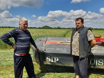 Čerba Donji Miholjac