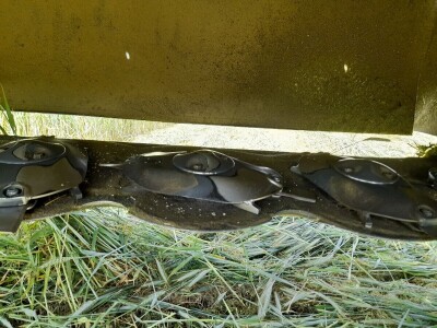 Čerba Donji Miholjac