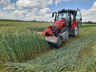 Čerba Donji Miholjac