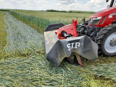 Čerba Donji Miholjac