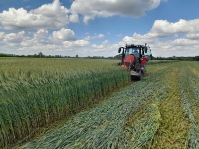 Čerba Donji Miholjac
