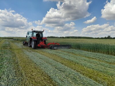 Čerba Donji Miholjac