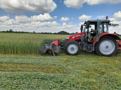 Čerba Donji Miholjac