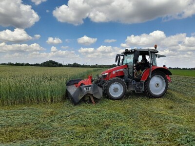 Čerba Donji Miholjac