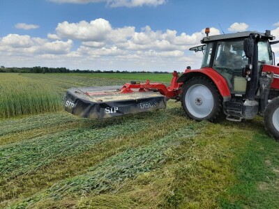 Čerba Donji Miholjac