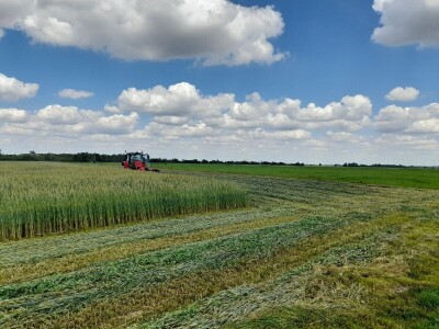 Čerba Donji Miholjac