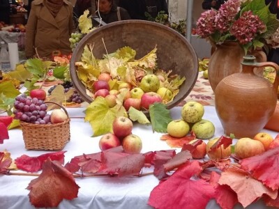 Cernik 2021: Izložba starih sorti voća i povrća