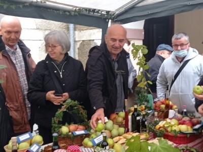Cernik 2021: Izložba starih sorti voća i povrća