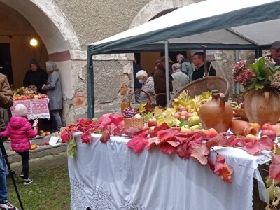 Cernik 2021: Izložba starih sorti voća i povrća