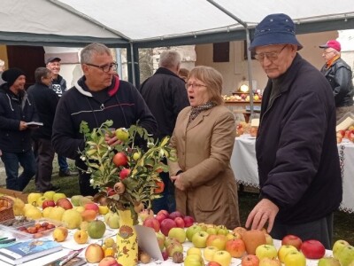 Cernik 2021: Izložba starih sorti voća i povrća