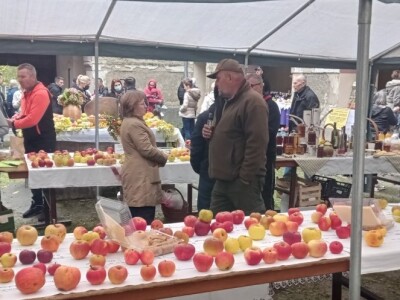 Cernik 2021: Izložba starih sorti voća i povrća