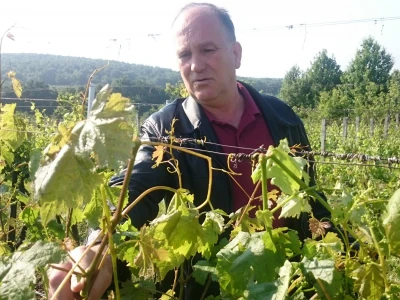 Vitomir Žakić