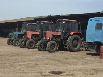 Černobil i poljoprivreda danas Černobil i poljoprivreda danas