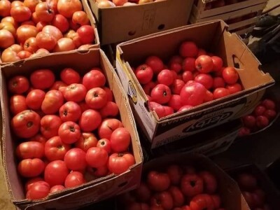 Cero Čorbadžić: Mještani Gorana su jako vrijedni, pa smo i mi krenuli njihovim stopama