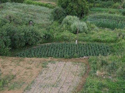 Cero Čorbadžić: Mještani Gorana su jako vrijedni, pa smo i mi krenuli njihovim stopama