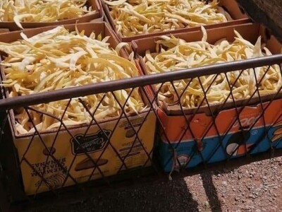 Cero Čorbadžić: Mještani Gorana su jako vrijedni, pa smo i mi krenuli njihovim stopama