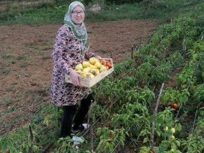 Cero Čorbadžić: Mještani Gorana su jako vrijedni, pa smo i mi krenuli njihovim stopama