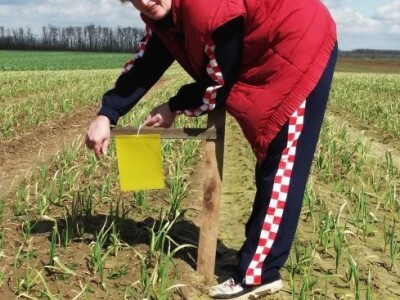 Mara Čuljak, predsjednica