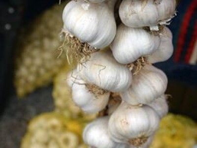 Od ove godine status ljekovitog bilja