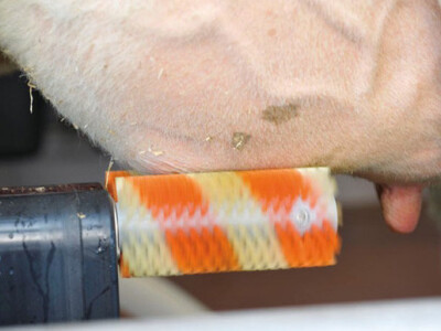 Četke dizajnirane za više čišćenja