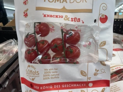 Cherry paradajz - uzgoj