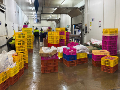 KenChic - Prerada piletine u Keniji