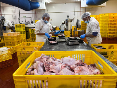 KenChic - Prerada piletine u Keniji