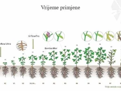 Chromos AGRO