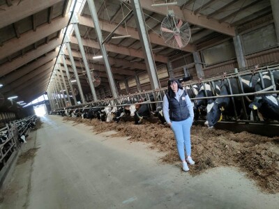 Cibo Centri dostavljaju robu diljem Hrvatske