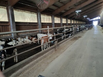 Cibo Centri dostavljaju robu diljem Hrvatske