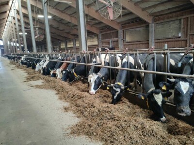 Cibo Centri dostavljaju robu diljem Hrvatske