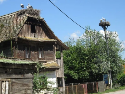 Čigoč