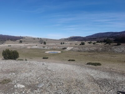 ČIJE OVCE TOGA I LIVADA!