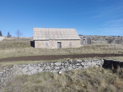 ČIJE OVCE TOGA I LIVADA!