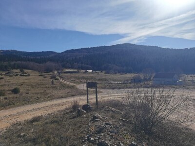 ČIJE OVCE TOGA I LIVADA!