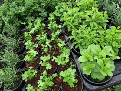 13. Sajam Proizvodi hrvatskog sela