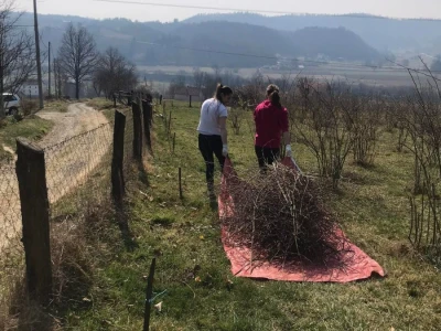 Cijela porodica zaljubljena u šipak, promijenio im je život na pozitivno