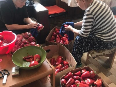 Cijela porodica zaljubljena u šipak, promijenio im je život na pozitivno