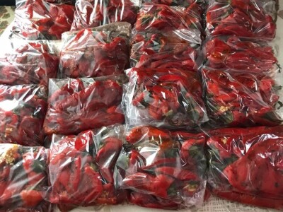 Cijela porodica zaljubljena u šipak, promijenio im je život na pozitivno