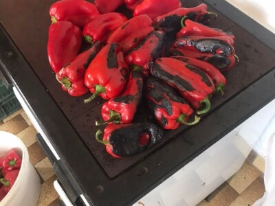 Cijela porodica zaljubljena u šipak, promijenio im je život na pozitivno