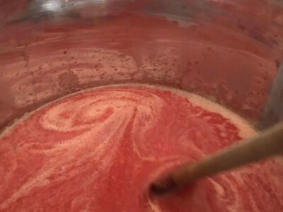 Cijela porodica zaljubljena u šipak, promijenio im je život na pozitivno