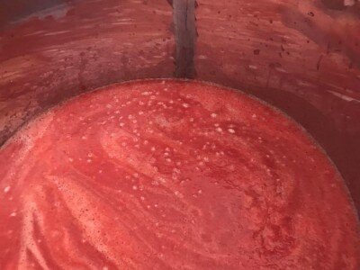 Cijela porodica zaljubljena u šipak, promijenio im je život na pozitivno