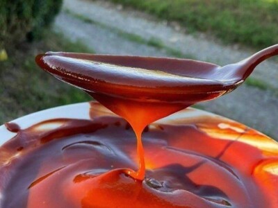 Cijela porodica zaljubljena u šipak, promijenio im je život na pozitivno