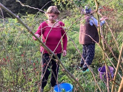 Cijela porodica zaljubljena u šipak, promijenio im je život na pozitivno