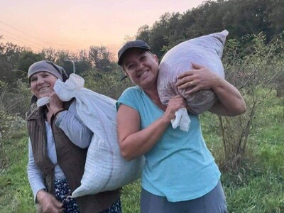 Cijela porodica zaljubljena u šipak, promijenio im je život na pozitivno