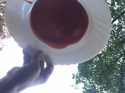 Cijela porodica zaljubljena u šipak, promijenio im je život na pozitivno