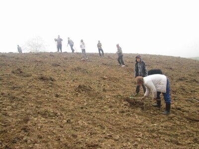 Cijela porodica zaljubljena u šipak, promijenio im je život na pozitivno
