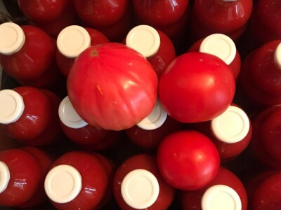 Cijela porodica zaljubljena u šipak, promijenio im je život na pozitivno