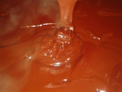 Cijela porodica zaljubljena u šipak, promijenio im je život na pozitivno