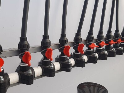 Ciklame i jagorčevine najtraženije pred osmi mart, foto: M. Lazarević